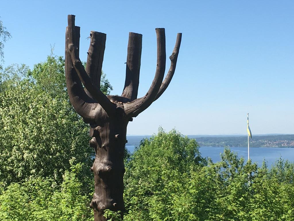Rättvik Augustas Bed & Breakfast מראה חיצוני תמונה