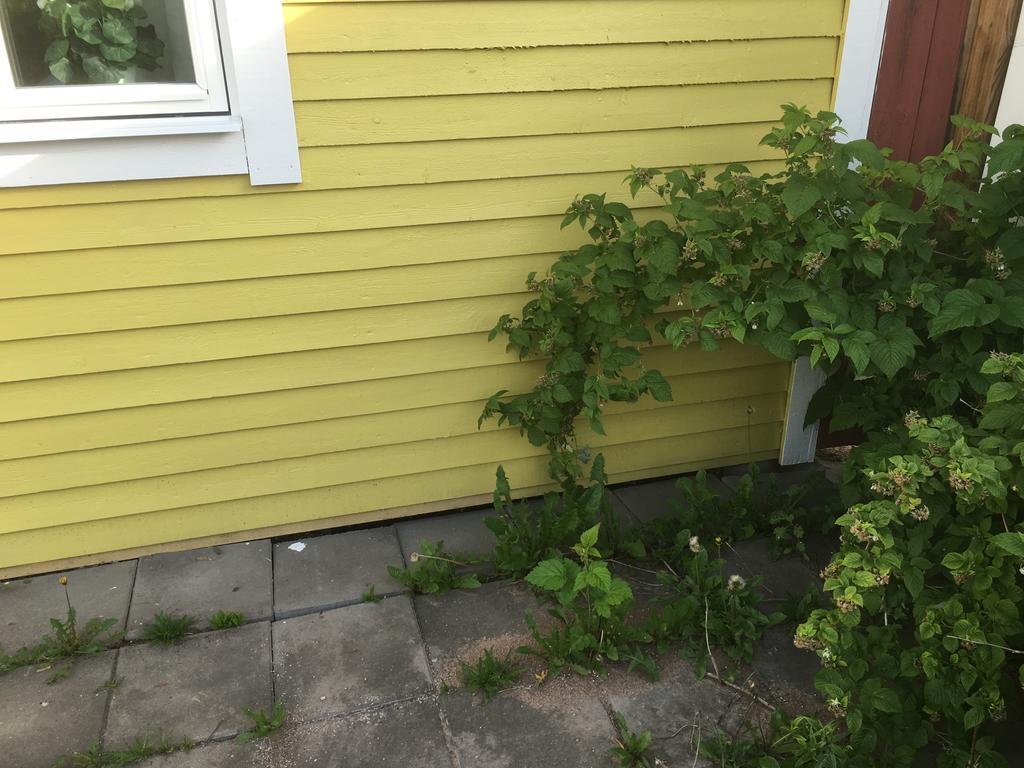 Rättvik Augustas Bed & Breakfast מראה חיצוני תמונה